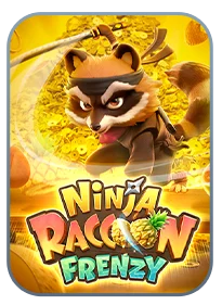 goodday999-ninja raccoon frenzy